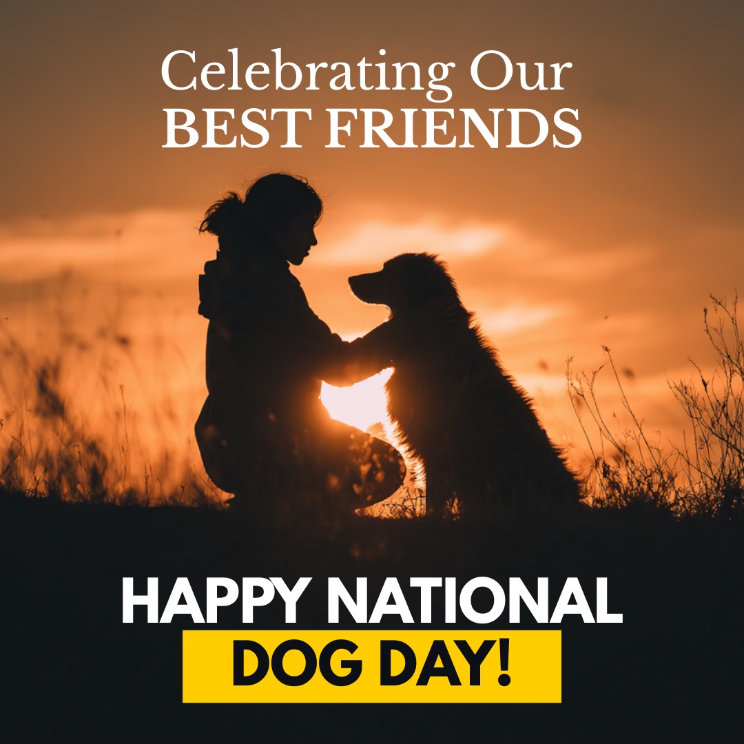 Tee O'Fallon tweet media