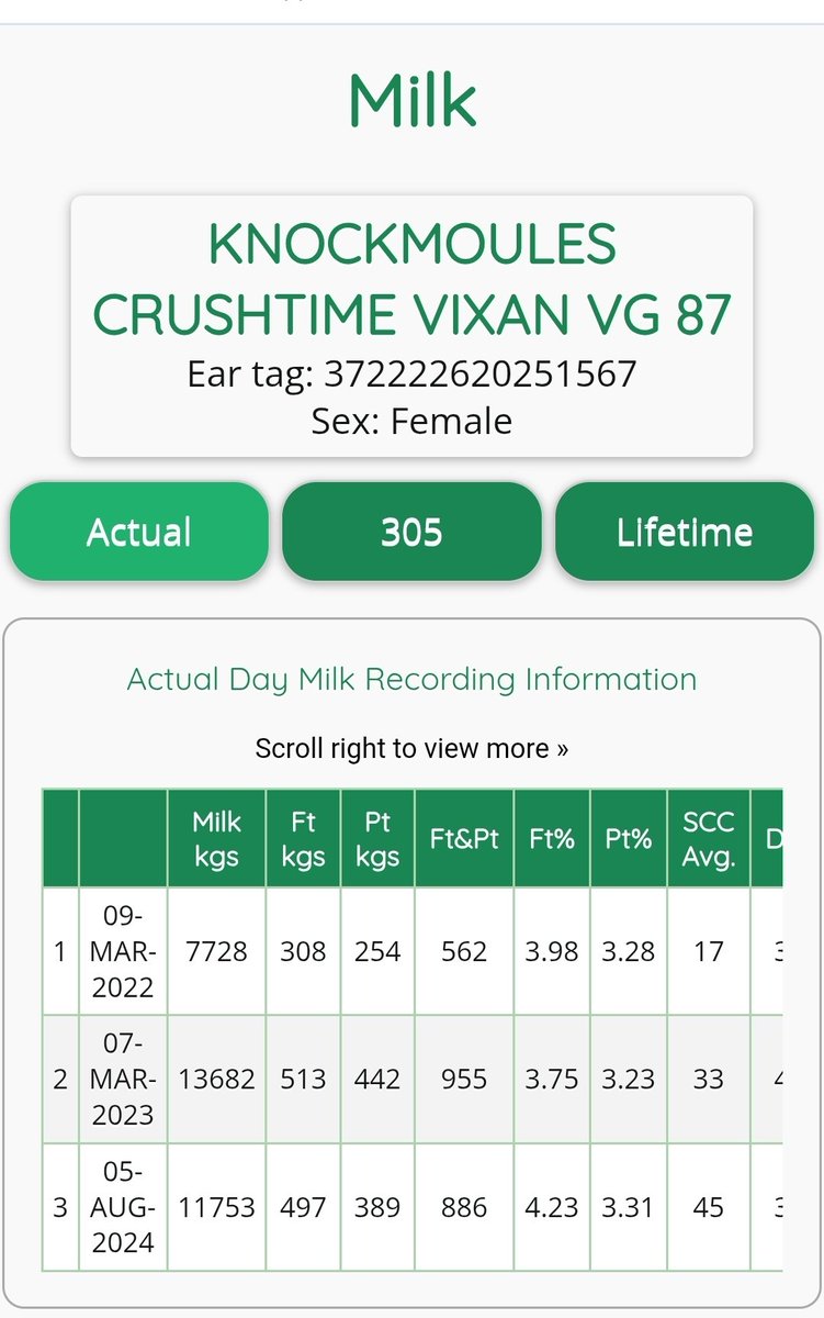 Knockmoules Holsteins tweet media