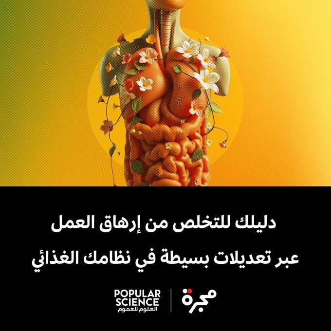 بينما تسهم عوامل عديدة في إرهاق العمل؛ مثل ساعات العمل الطويلة والمهام الروتينية وعدم التوازن بين العمل والحياة الشخصية، أظهرت دراسة أجراها باحثون في جامعة بريغهام يونغ، ونشرتها دورية إدارة صحة السكان، أن الموظفين الذين يتبعون نظاماً غذائياً غير صحي كانوا أكثر عرضة بنسبة 66% للإبلاغ عن انخفاض في الإنتاجية مقارنةً بمن يتبعون نظاماً غذائياً صحياً.. اقرأ المقال 