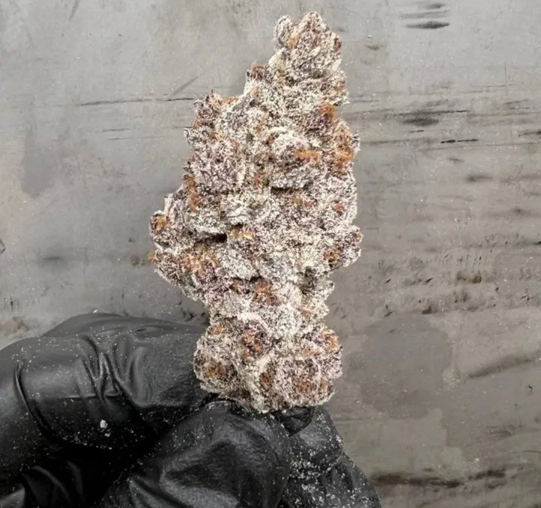 laxpack420's tweet photo. Cannabis
#cannabissociety 
#Psychedelics
 #LSD
#Psilocybin
#dmtr
#Ayurveda https://t.co/GMjSbAQyJ8