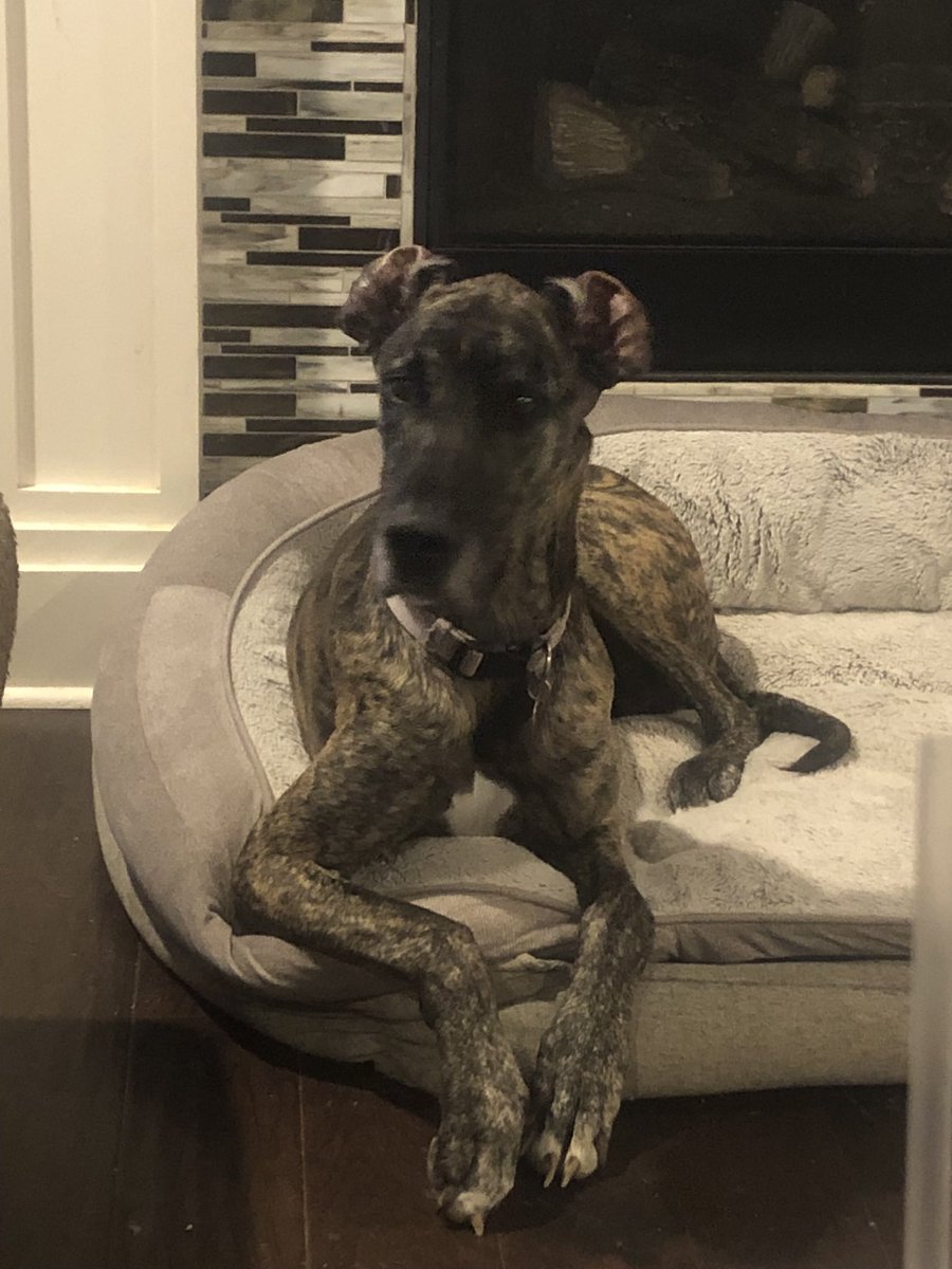 Daniel Reeves tweet media