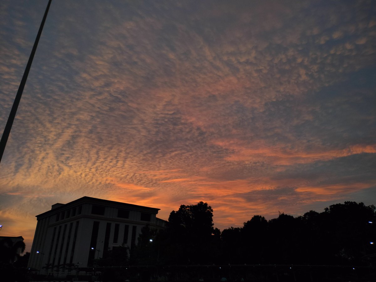 Cutlet_K's tweet image. Day 25
✅1 LC
✅ Basketball almost entire morning and evening