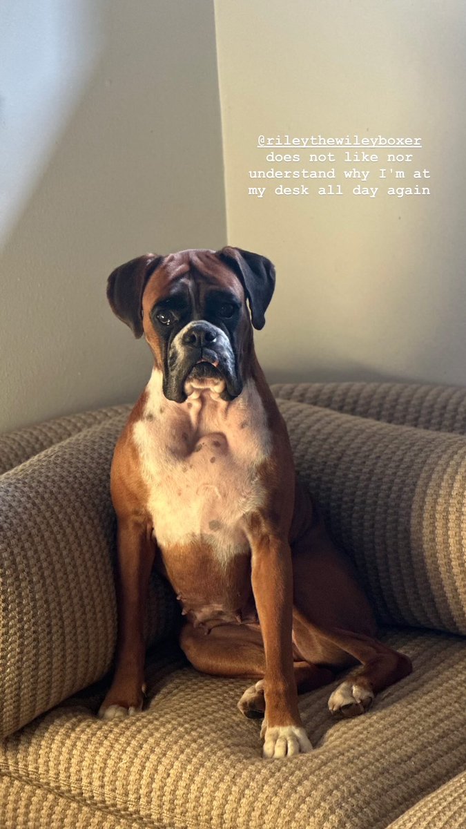 Thanks everyone who have reached out and offered their support and congratulations!
Riley is not so happy about it, but I'm hoping she'll come around