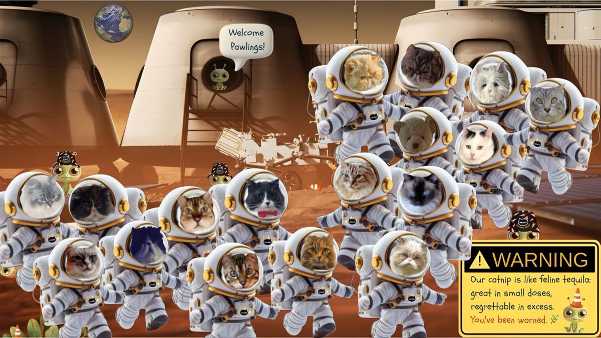 38Octavian's tweet photo. @RobinMi22788897 @DisCocoa24 @Biscuit_Meow This was such a great adventure. We were hoping to meet up with you but got distracted by the crowd ~ Phoebe, Teddy Henri & Kitty P #CatsOnMars #Nipfest2025 https://t.co/GII2kfFip5