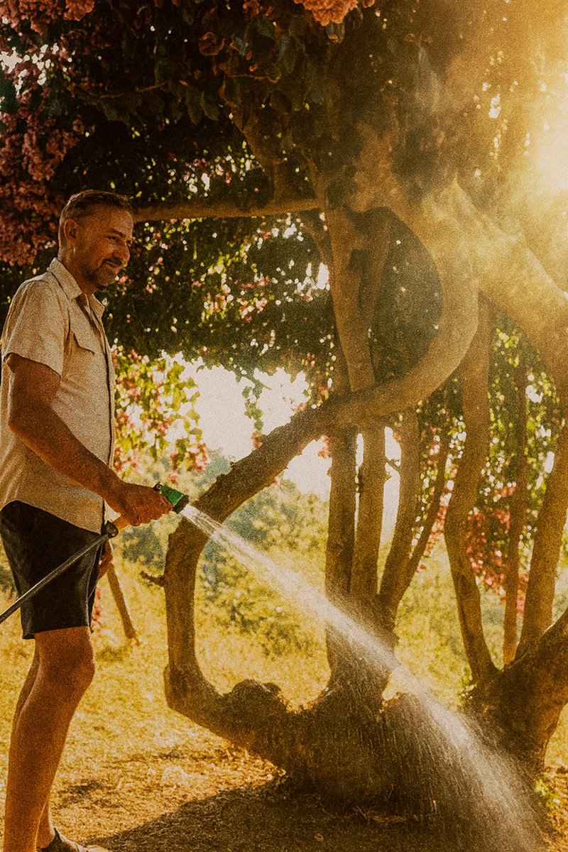 weh_lankabel's tweet photo. „Wachstum braucht Pflege 🧑‍🌾.“
Ob Pflanzen, Menschen oder Frequenzen – nur wer gießt, sieht sie erblühen. 🌱💧
 Growth needs care 🪴.
Plants, people, frequencies – only those who water will see them bloom. 🌍✨
#HisStory #Frequenzen #Wachstum #Community #Portugal https://t.co/PaN4M8JFI7