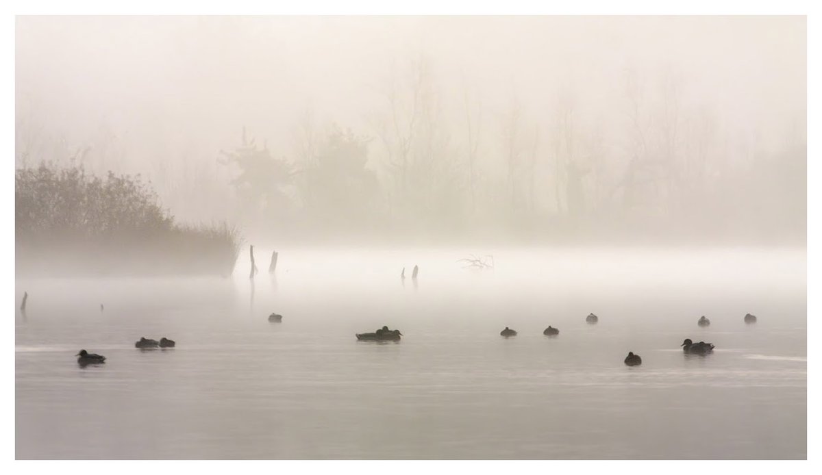 ~Tranquillitas~

<a href="/Gallery365photo/">Gallery365photo</a> 
#Gallery365in2025 
#Gallery365in2025DailyPrompt