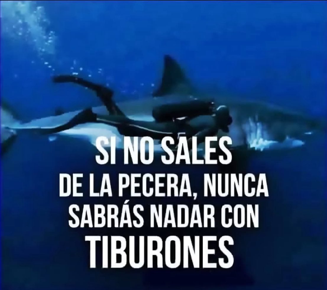 Hugh El Templario. (@hugolaborati1) on Twitter photo 