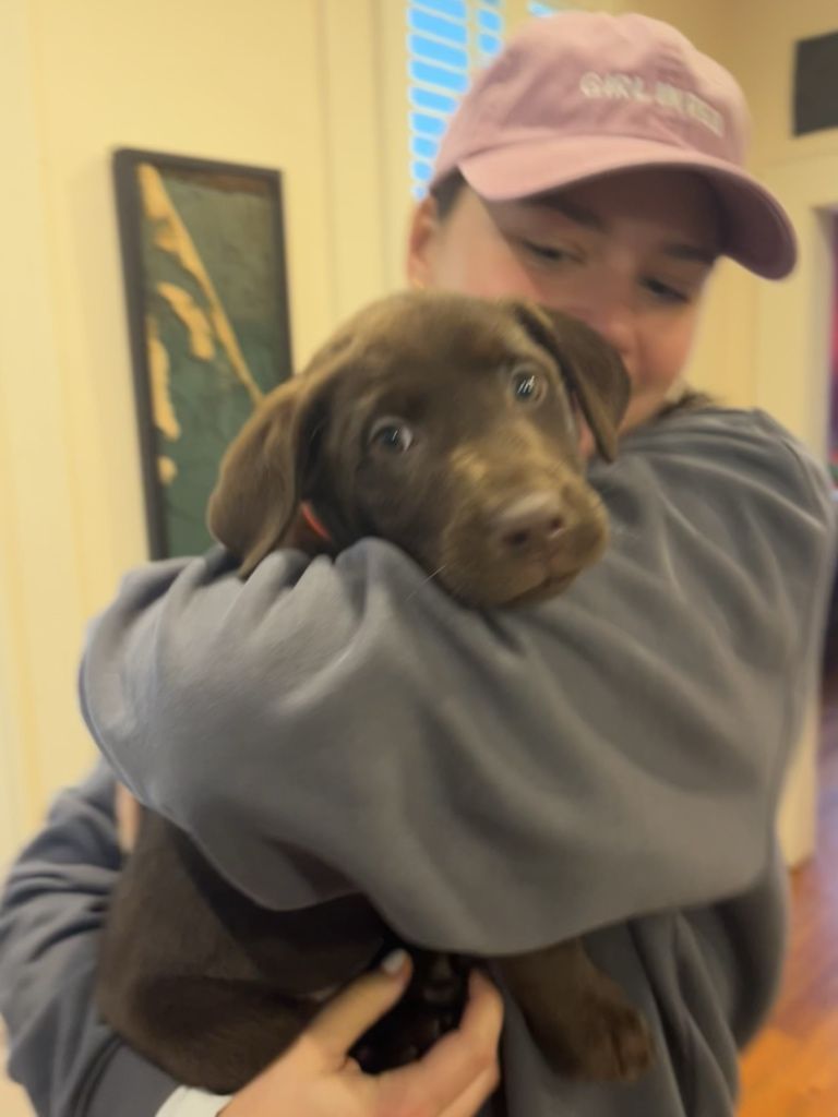 The dogs behind the Dawgs 🐶

Happy #NationalDogDay to our favorite four-legged frens!

🐾 Kelsey's dog Roscoe
🐾 Avery's dog Tobin
🐾 Laura's dog Lor
🐾 Julia's dog Jerry