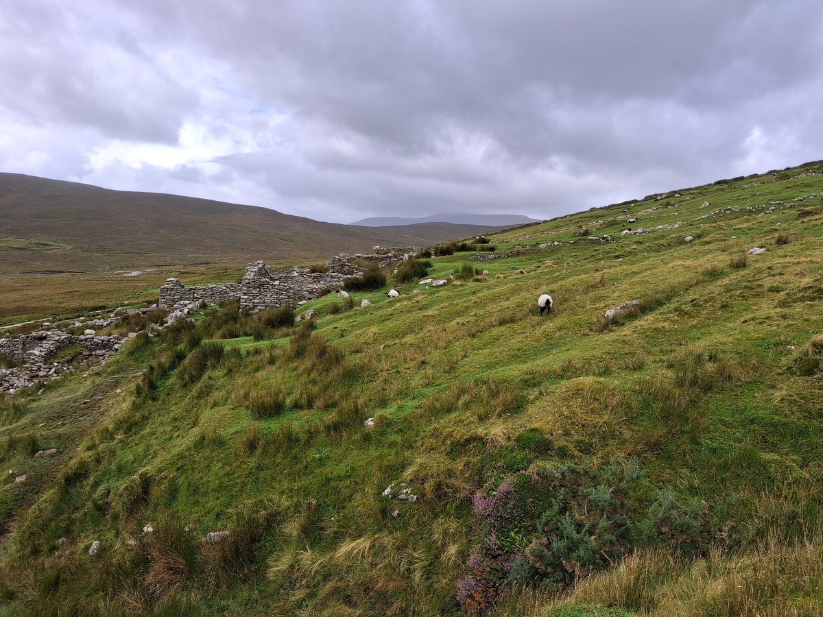 BrianGurrin's tweet image. Beautiful lazy-beds at The Deserted Village, Achill. The lazy-bed agricultural practice was anything but lazy.