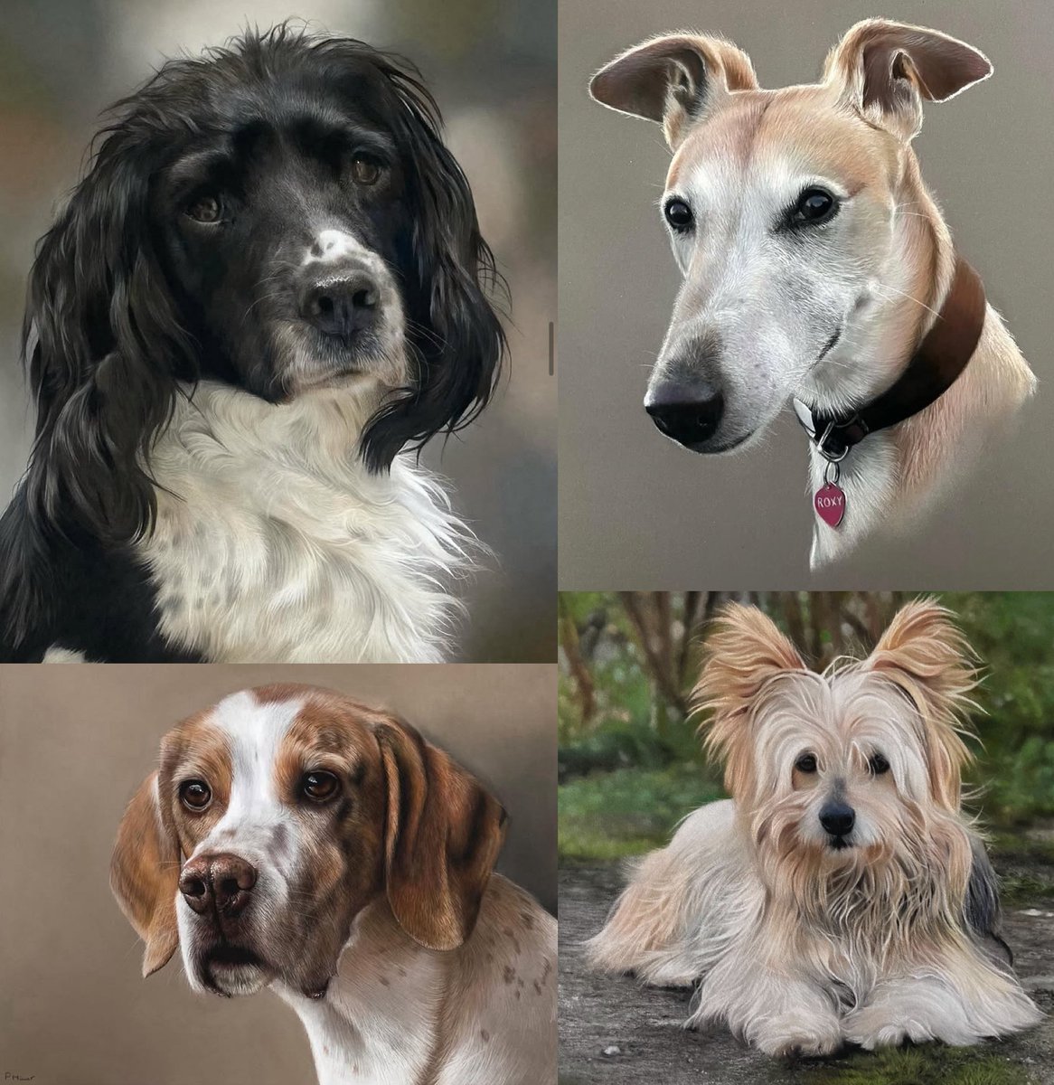#InternationalDogDay