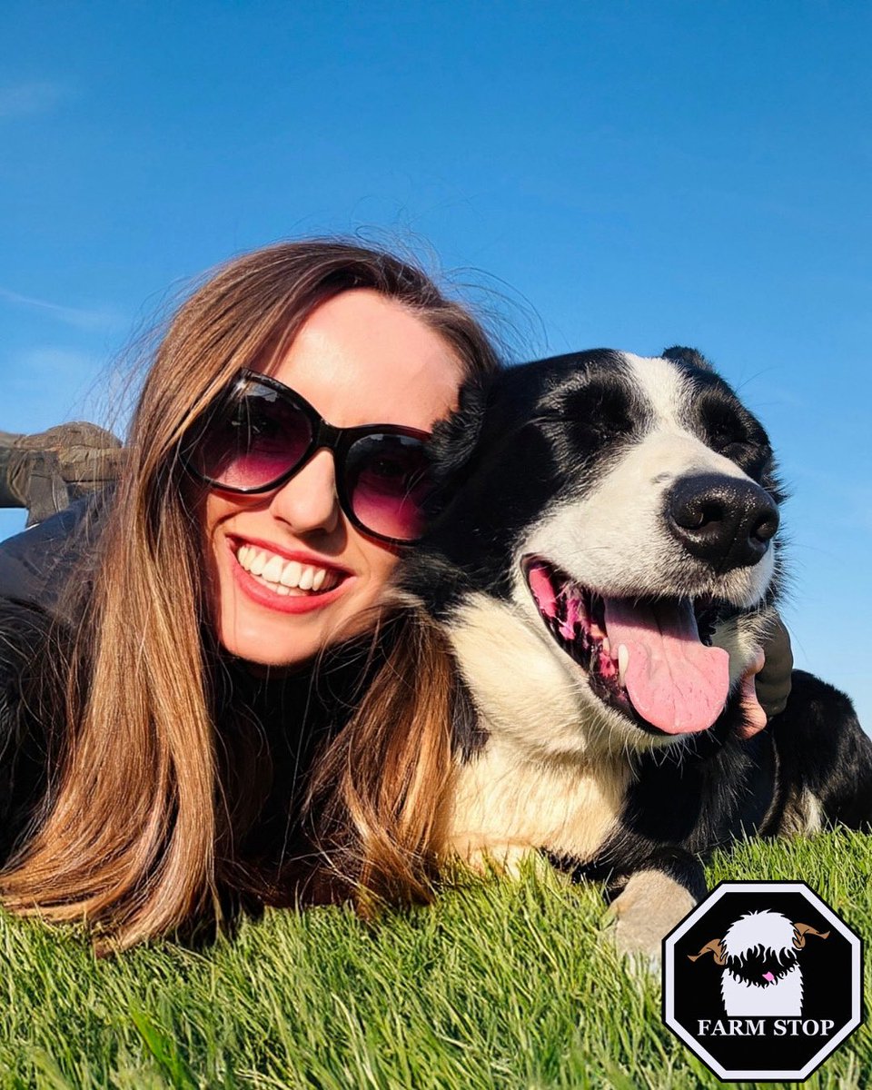 FarmStopABZ's tweet photo. 🐶 🐾 Happy National Dog Day! 🐾🐶 

A celebration of our four-legged friends! 
Here we have our collie dog, Nia 🥰💕

#NationalDogDay #FarmLife #DogsofInstagram #FourLeggedFriends #CollieLove #Collie #Dog #fyp https://t.co/8eDq3GJZd6