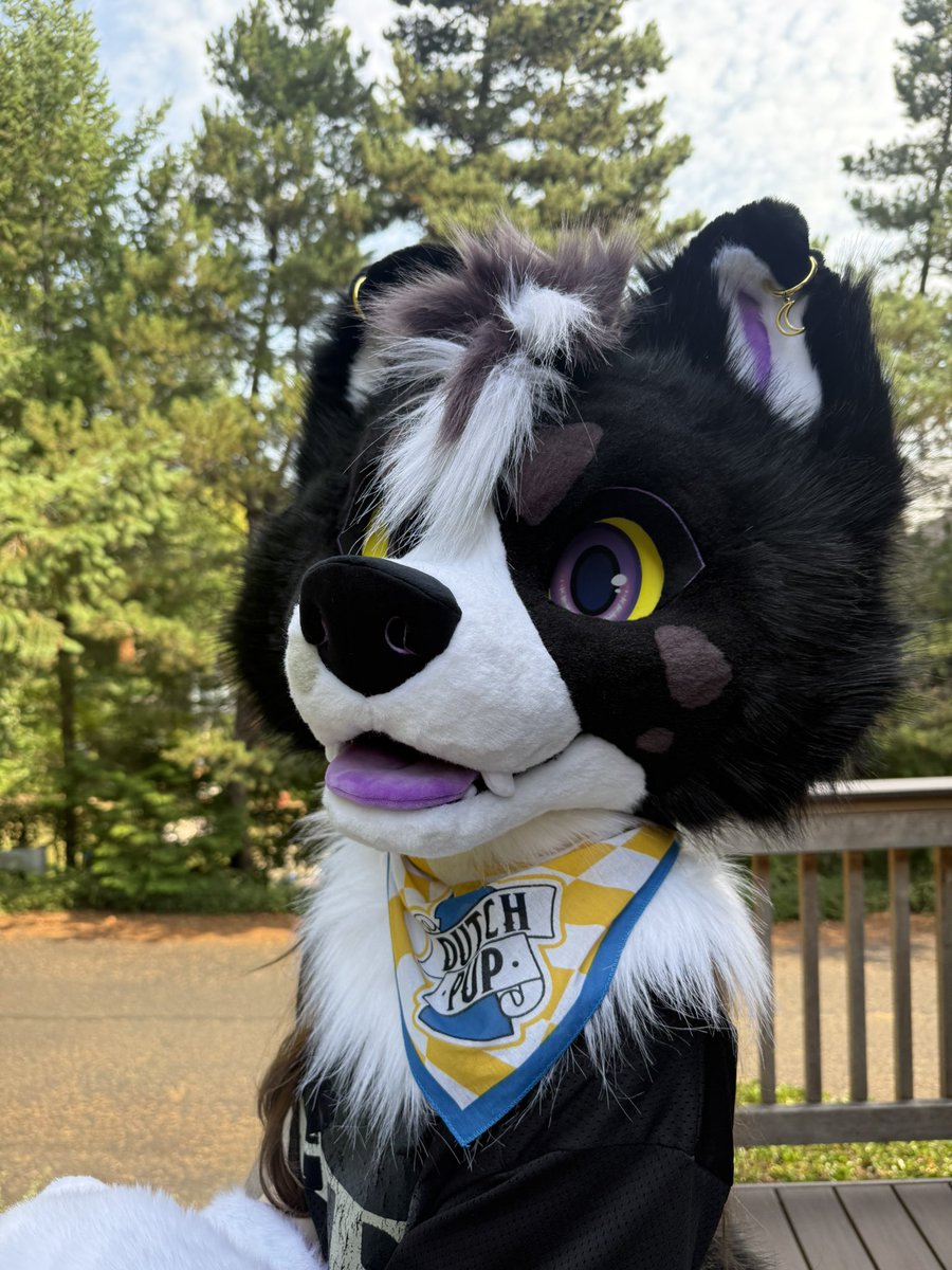 happy international dog day!! 🐾

🧵- <a href="/BattitudeStudio/">Battitude 🦇🪡</a>