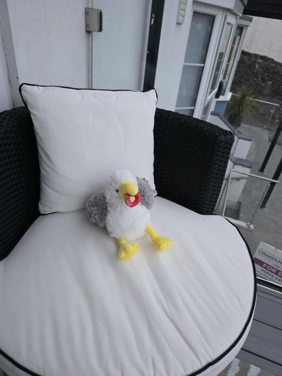 Guys what do I call him