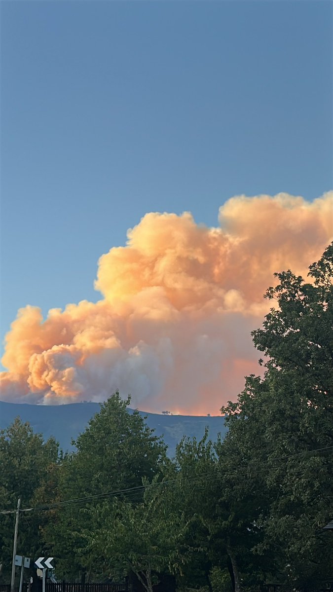 ElenaChAlon's tweet photo. #incendio #IFporto #IncendiosForestalesEspaña #sanabria 

📸Imágenes desde Vigo de Sanabria 

En tan solo unos minutos el fuego ha empezado a extenderse https://t.co/HKktcEN17k