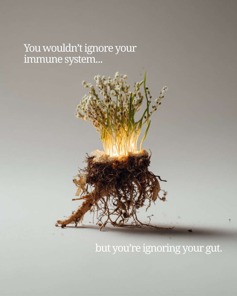 Atrantil's tweet image. Your immune system isn't just in your bloodstream.
It starts in your gut.
With natural botanicals and scientifically backed polyphenols, Atrantil supports the gut lining, reduces bloating, and helps restore the ecosystem that protects you, from the inside out.