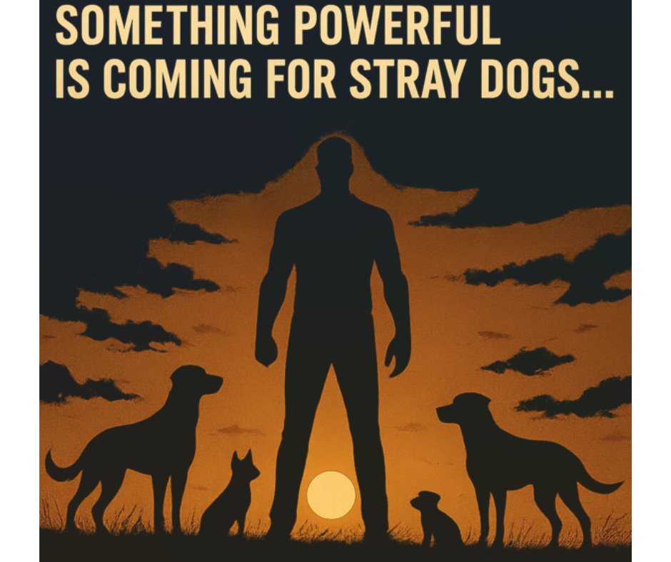 DogDeskAction's tweet photo. 🌍 Something is stirring.
🐾 Whispers of change are in the air.
💛 Watch this space........

#HopeForStrays #EveryDogMatters #CompassionInAction https://t.co/O5rwgqKc1O
