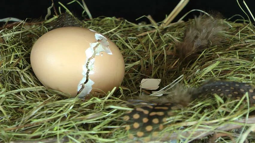 Michelle James tweet media