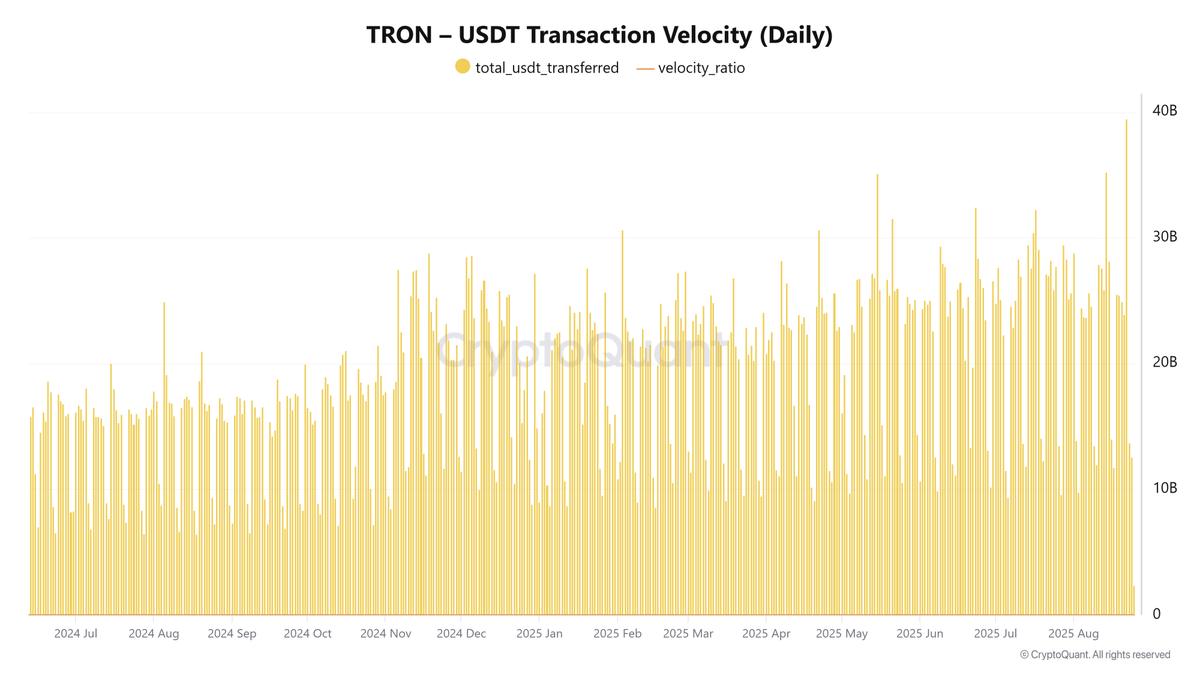من التحويلات إلى البنية التحتية: كيف أعاد أغسطس 2025 تعريف دور #TRON في اقتصاد العملات المشفرة العالمي؟ خلال أغسطس 2025، شهدت شبكة ترون مستويات غير مسبوقة من النشاط في تحويلات #USDT، مصحوبة بتسارع ملحوظ في حجم التداول اليومي. تعكس هذه البيانات تغيرات كبيرة في سلوك المستخدمين