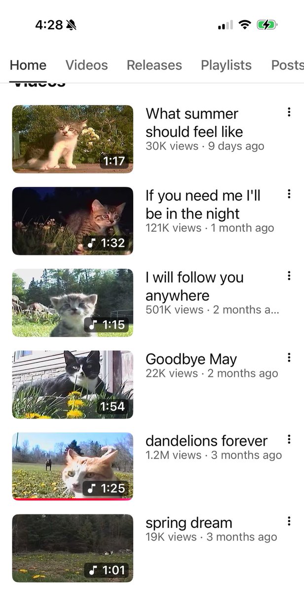 My new fav YouTube channel