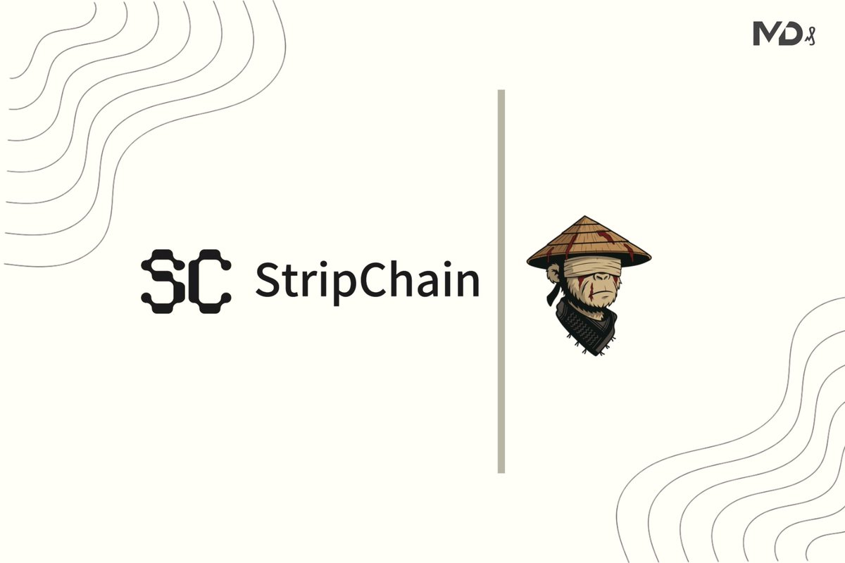 The blockchain world is fragmented, Assets and smart contracts are trapped on individual chains, making true interoperability a headache for developers and users alike.

💡 What if there was a simpler way to navigate through this?

That’s StripChain, a new path for seamless