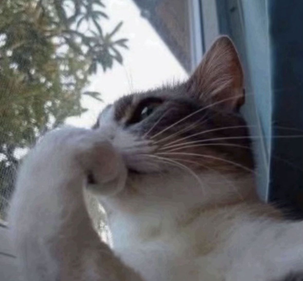 Mama I Dropped em tweet media