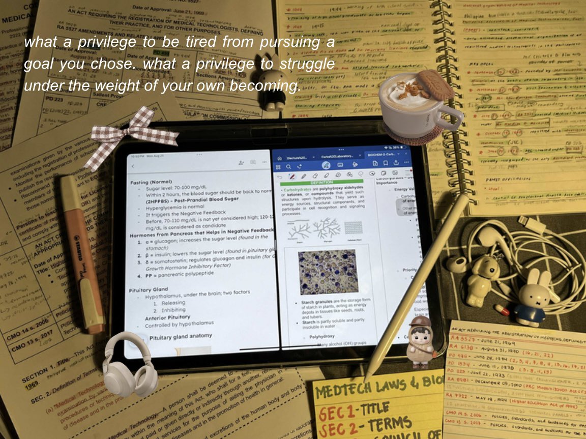 anabananastudy's tweet image. &quot;que privilégio de estar cansado por perseguir uma meta que você escolheu. que privilégio sofrer sobre o peso do seu próprio tornar-se&quot;