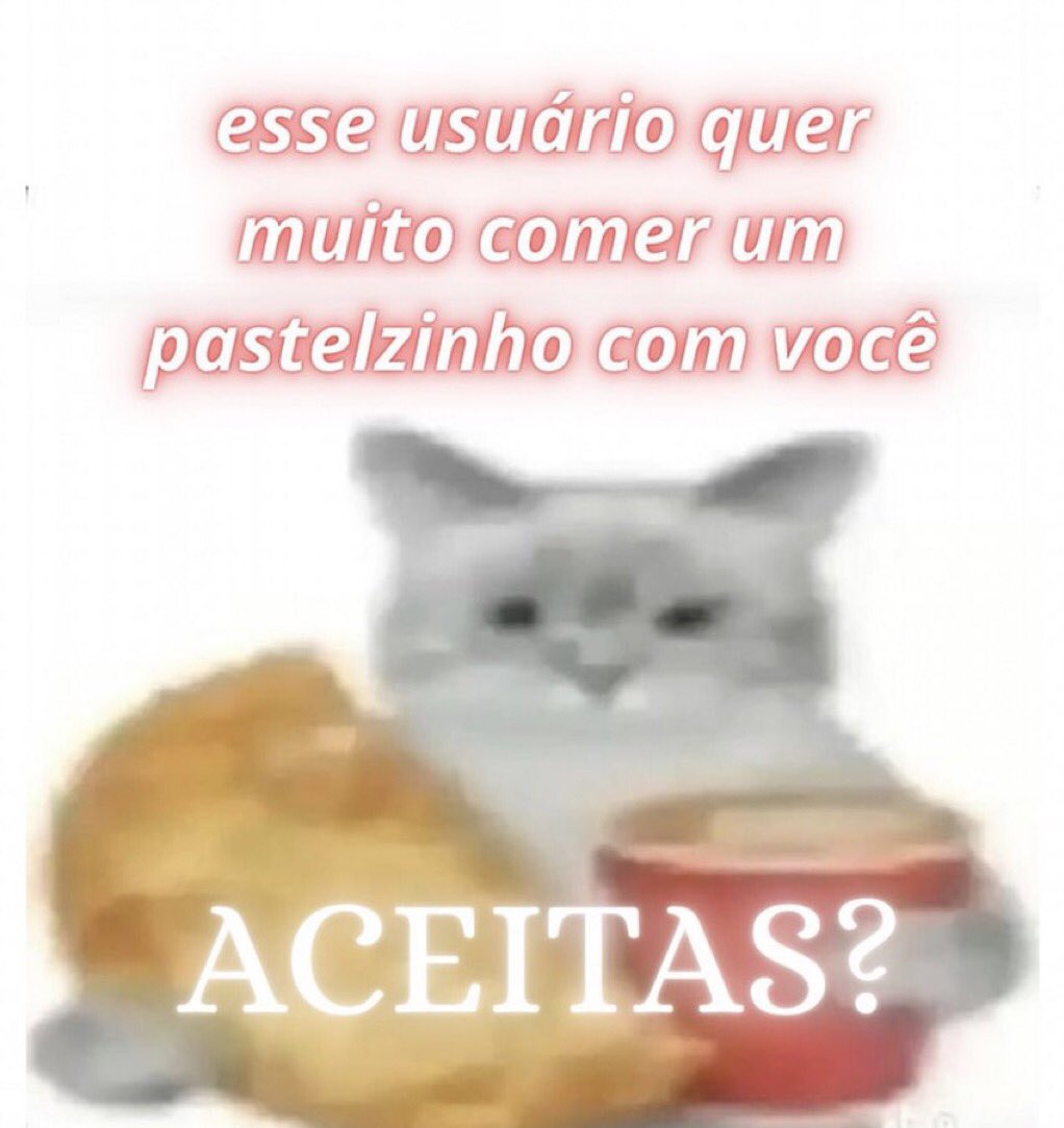 gatos fazendo gatices (@gatinarios) on Twitter photo 
