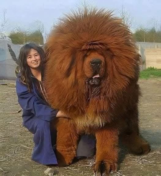 What would you name him ?