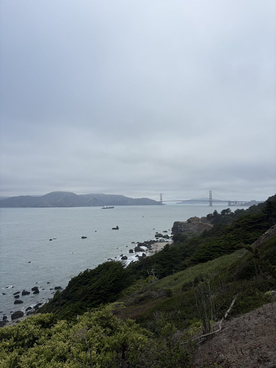 codebloodedvc's tweet image. Beat my morning run views 👀