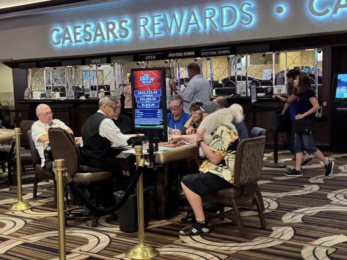 seventensuited's tweet image. Someone taking National Dog Day a little too seriously at Horseshoe this morning.