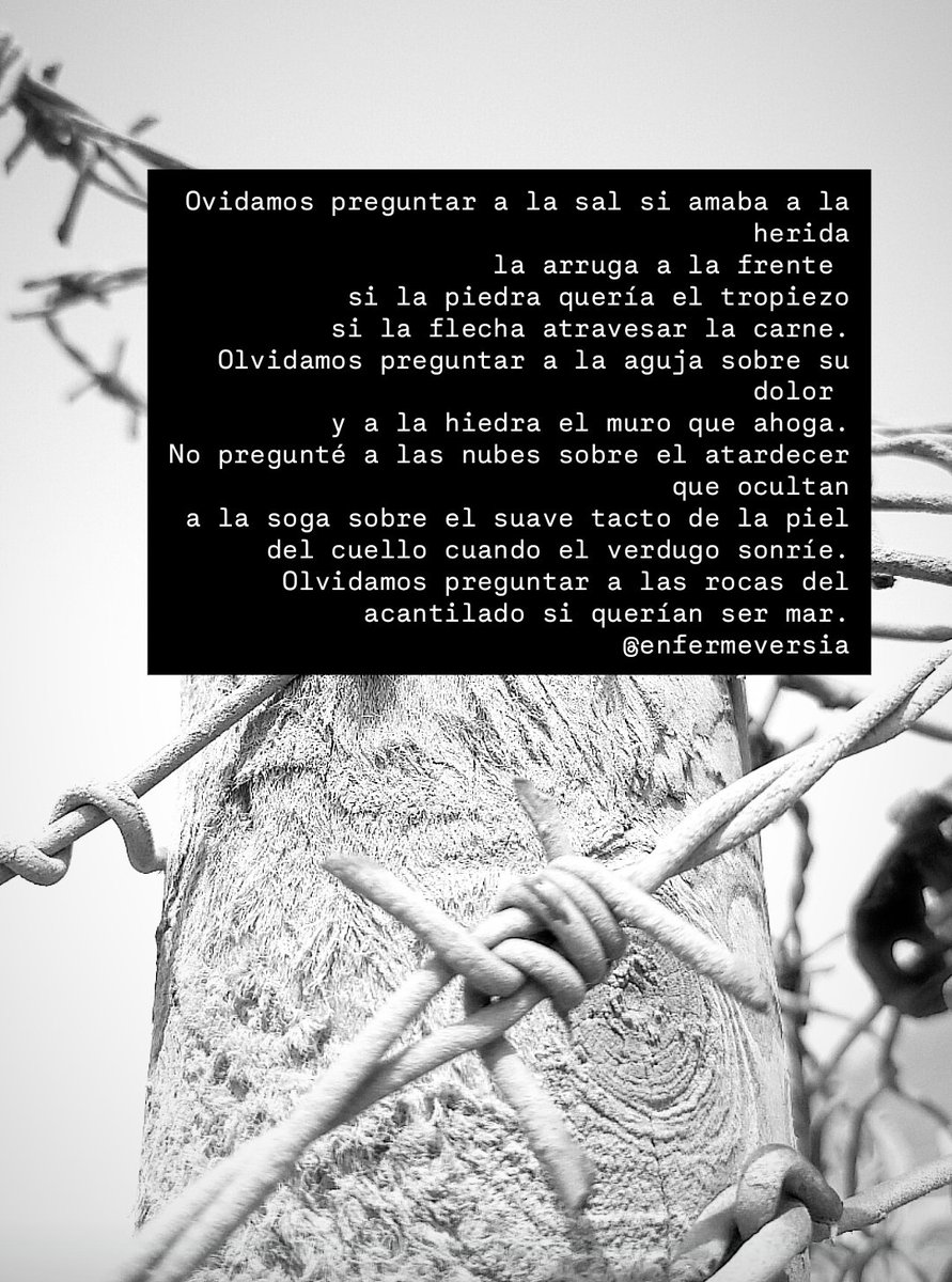 Olvidamos preguntar...