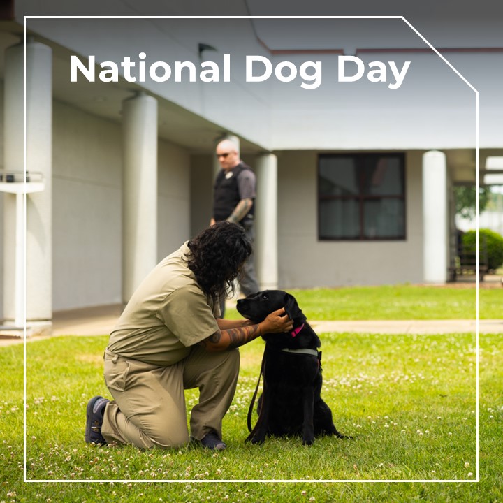 Happy National Dog Day! 🐶 
At the Federal Bureau of Prisons, dogs are changing lives through our dog therapy programs at institutions across the nation. These incredible companions are helping inmates build trust, reduce stress, and foster emotional growth. Celebrate the power