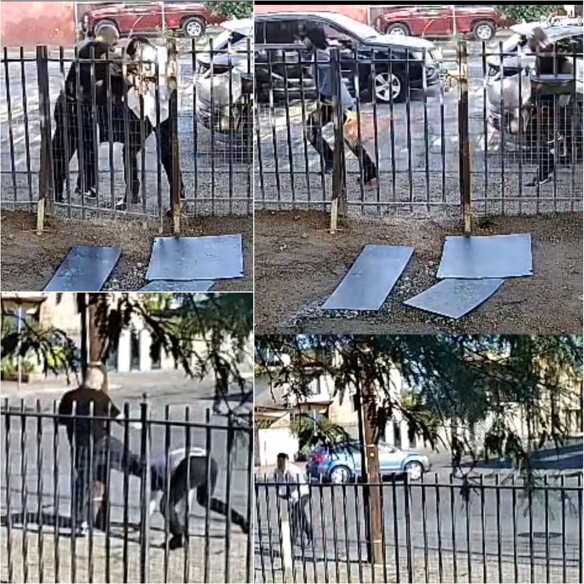 El periodista del programa de Tv "Ciudad Capital" de #Mexicali, Baja California, Jorge Heras, fue brutalmente golpeado al llegar a la Casa Productora, por varios sujetos, luego le advirtieron "Para que le bajes de huevo Heras"...
#PeriodistasSOS