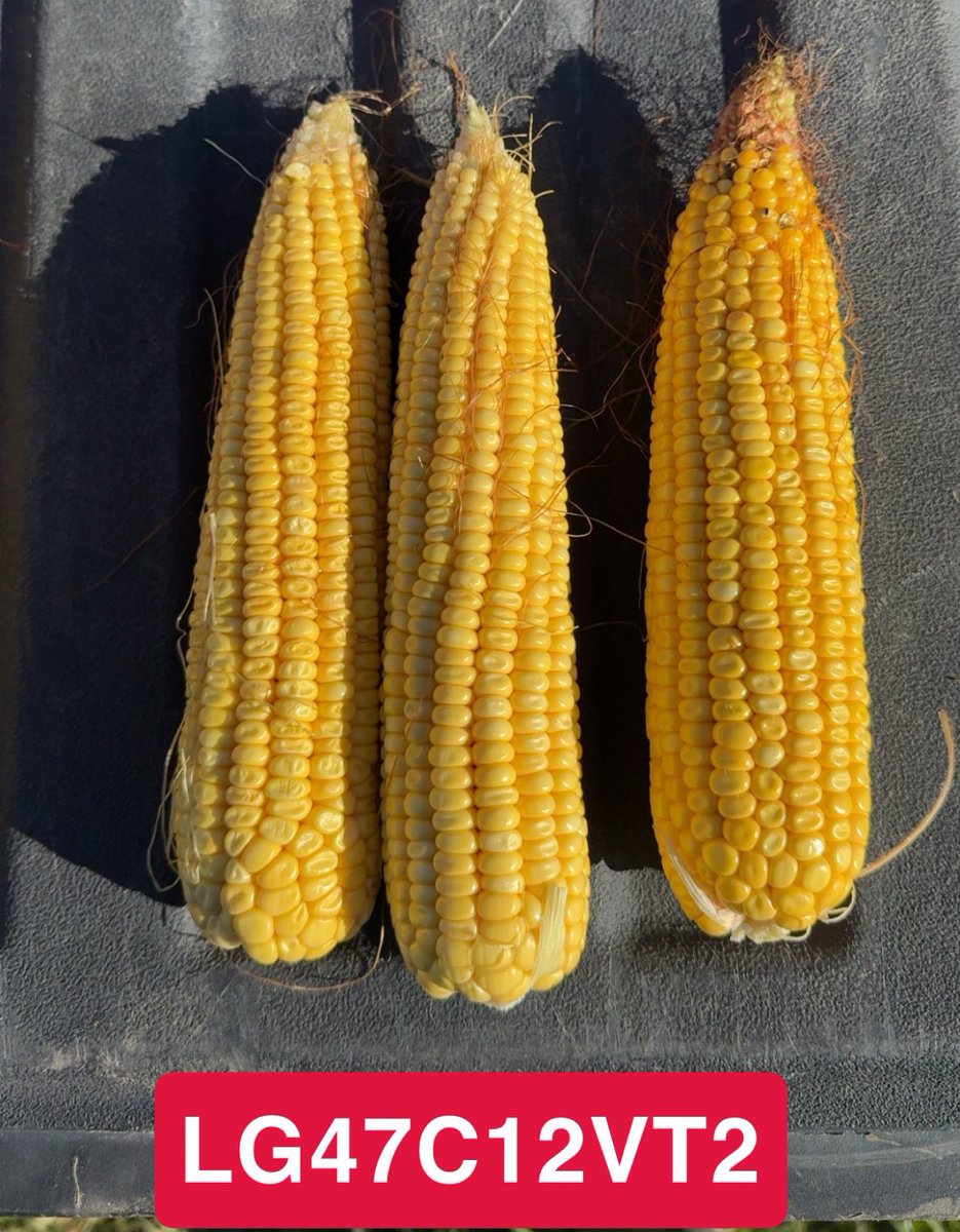 <a href="/LGSeeds/">LG Seeds</a> LG47C12VT2 new 97 day looking to be a great companion to LG46C85VT2!