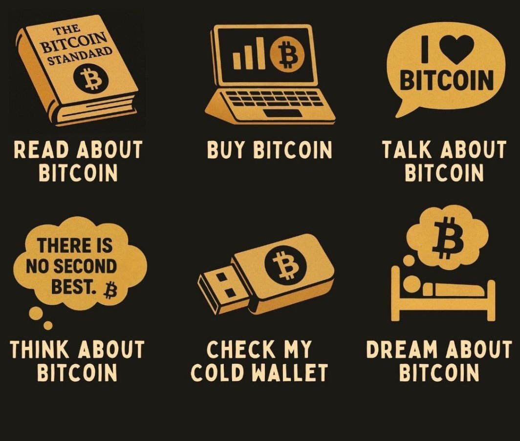 Bitcoin Insider Pro tweet media