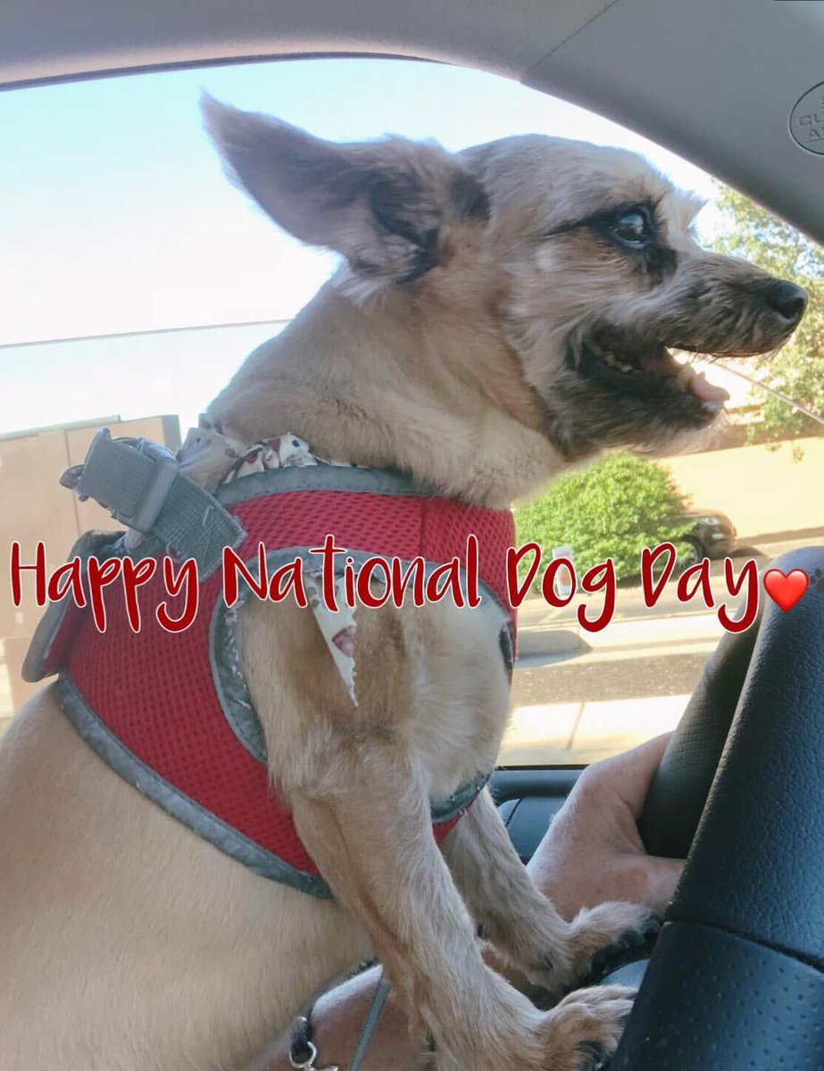 Rep. William O'Brien (@obrien2024forri) on Twitter photo 