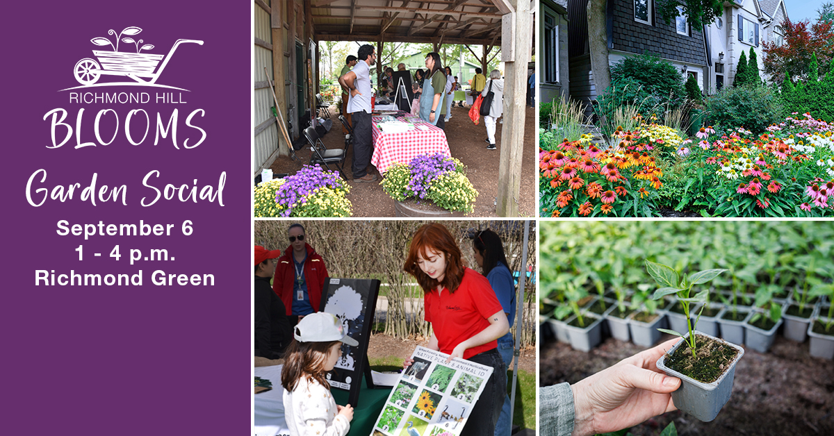 Join us for an afternoon of gardening inspo, eco-fun &amp; fabulous freebies! You can purchase plants &amp; composters, too.

🗓️ Saturday, September 6 | 1 – 4 p.m.
📍 Richmond Green Park 
💻 RichmondHill.ca/RHBlooms
