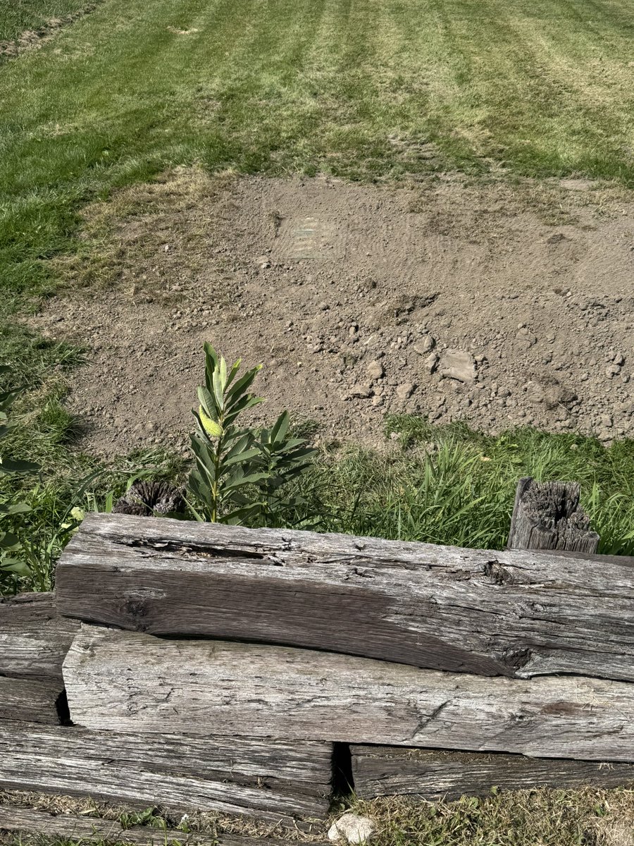 Todd Cochrane tweet media