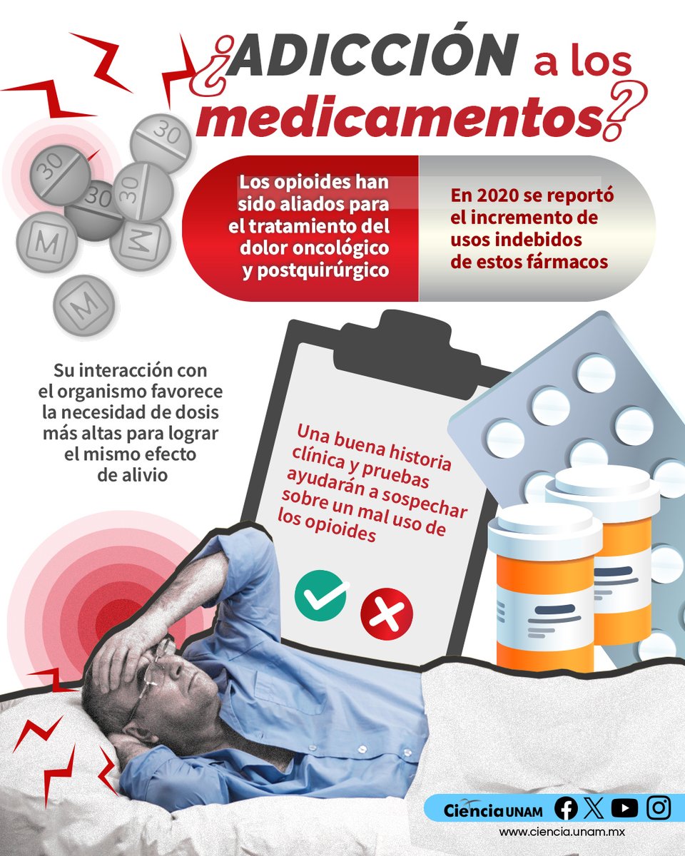 Ciencia_UNAM's tweet image. #Salud | Los #opioides han sido utilizados para combatir el #dolor, pero su uso indebido ha preocupado porque los pacientes pueden generar adicción a estos #fármacos.
Te contamos más: cutt.ly/krWzMIDw
#ConcienciaSobredosis