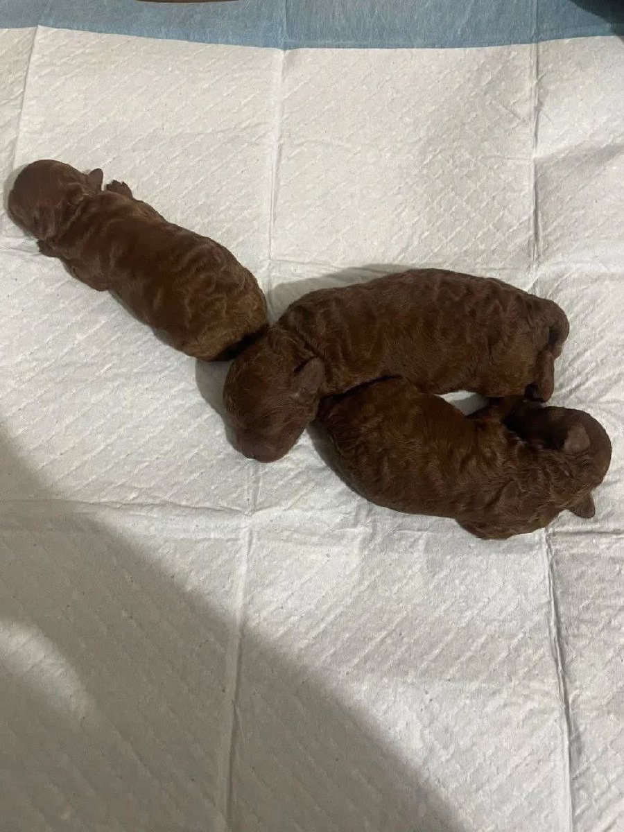 need some names for these cuties