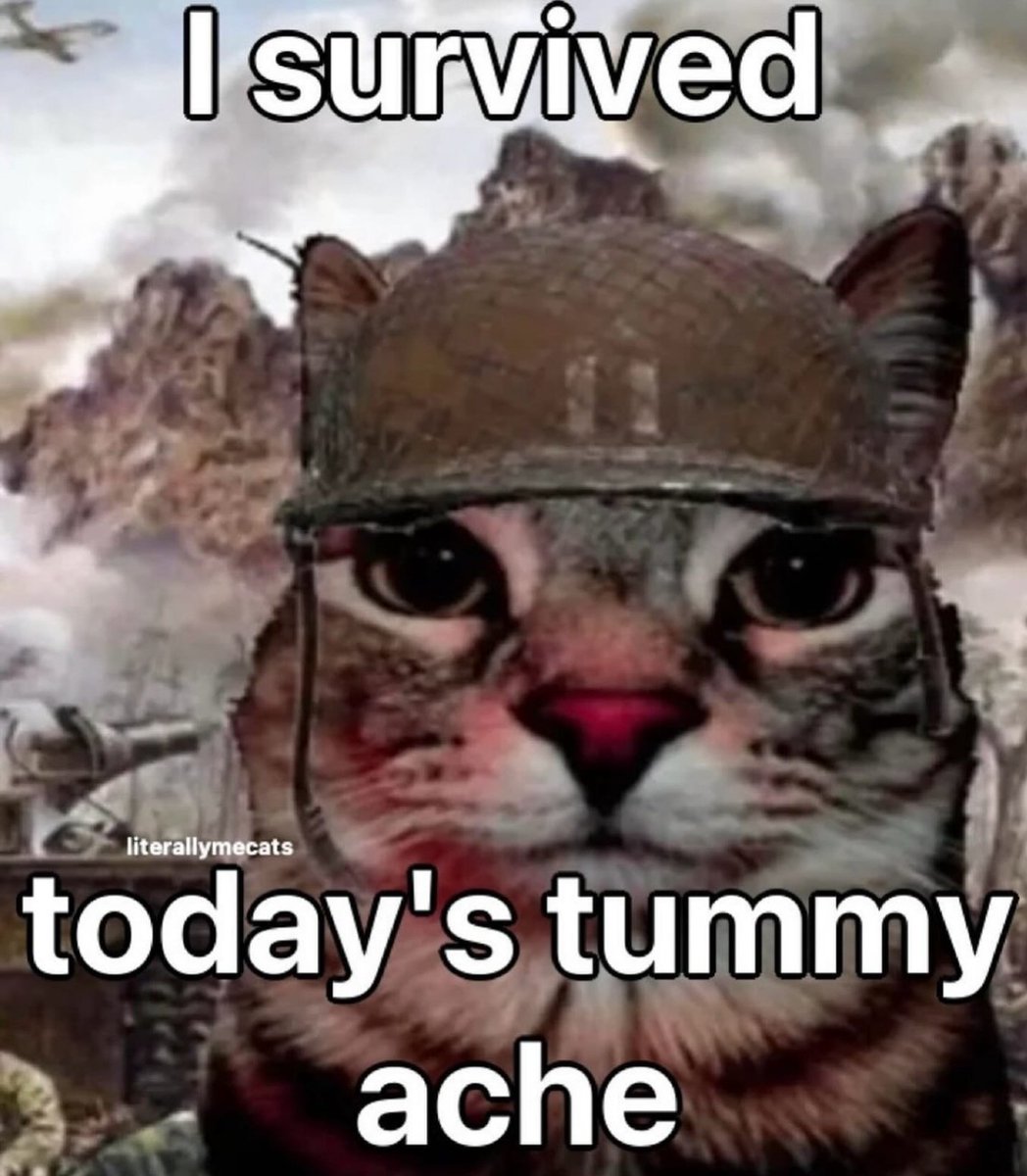 0xGutterC's tweet image. 