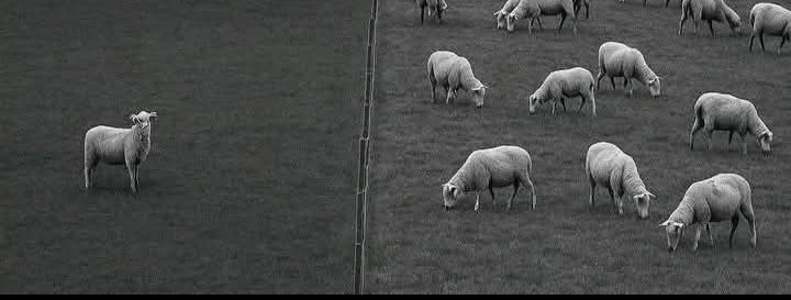 میں نے خود کو چنا تو بہت سے رشتے ختم ہوگئے۔🌸🖤