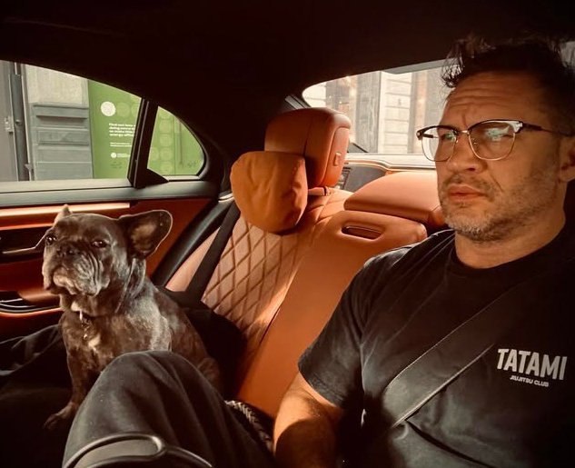 #InternationalDogDay 🤍