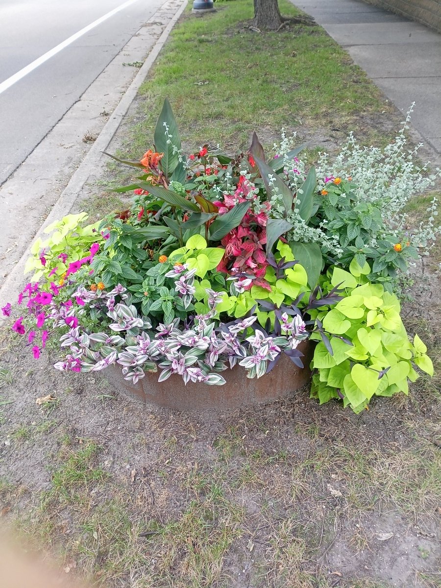 A pretty display before fall reaped its due.
#gardens #flowers #NaturePhotography