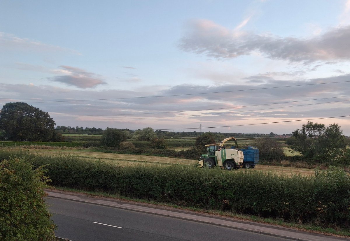 Adrian Long tweet media