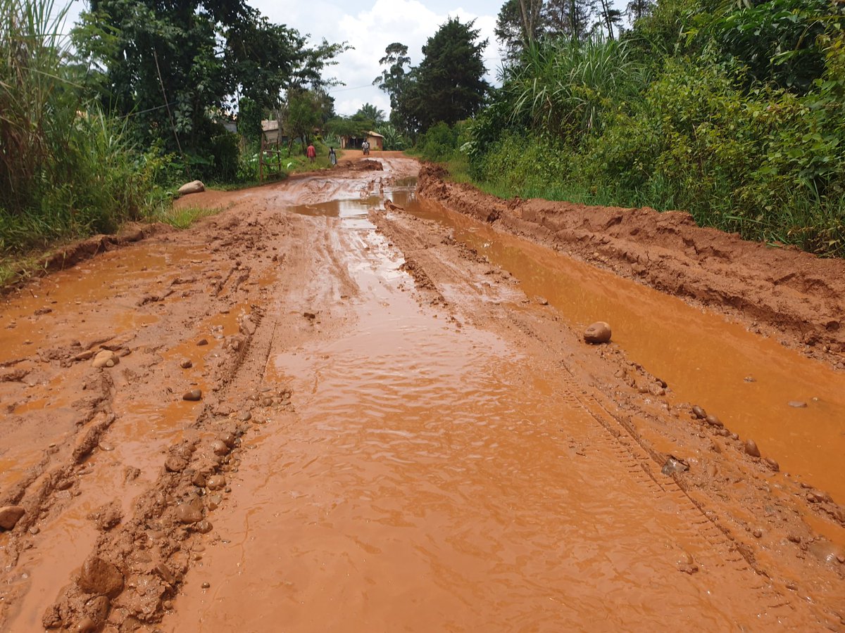 FungomF's tweet photo. We travelled along the #Wum - #Bafut - #Bamenda corridor on the 26th of August 2025 and captured these images of the road network which remain some of the major reasons why food prices are expensive in our urban areas.
See video here: https://t.co/6KrAblNHZu https://t.co/9N18AkSXN6