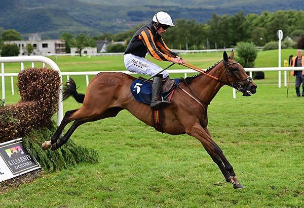 Irish N.H. Tips (@irishnhtips) on Twitter photo These weeks are really tough without a runner on the track in ireland <a href="/quarterfirst4/">Colonel Braxton | WE WIN</a> we need to consider expanding our string even further so things like this dont happen again! These weeks are really tough without a runner on the track in ireland <a href="/quarterfirst4/">Colonel Braxton | WE WIN</a> we need to consider expanding our string even further so things like this dont happen again!