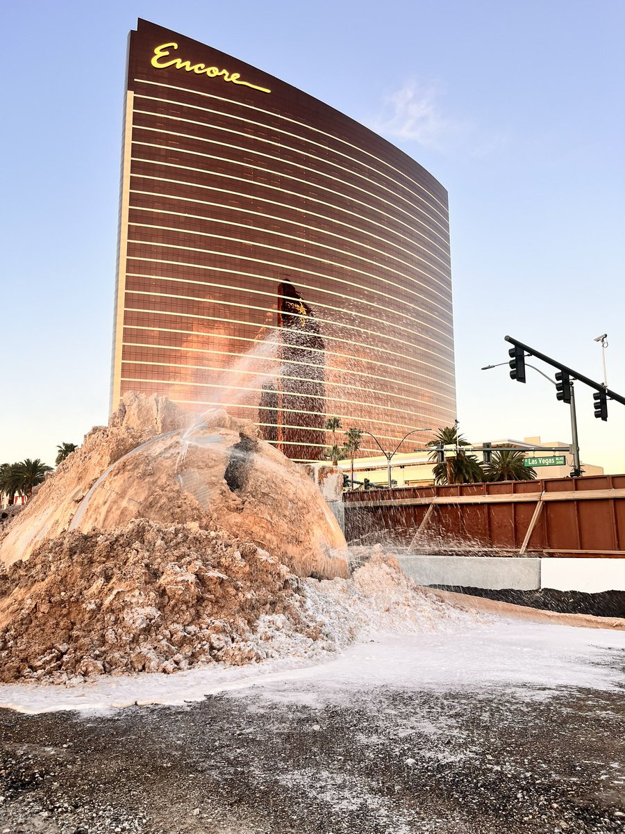 Las Vegas Locally 🌴 tweet media