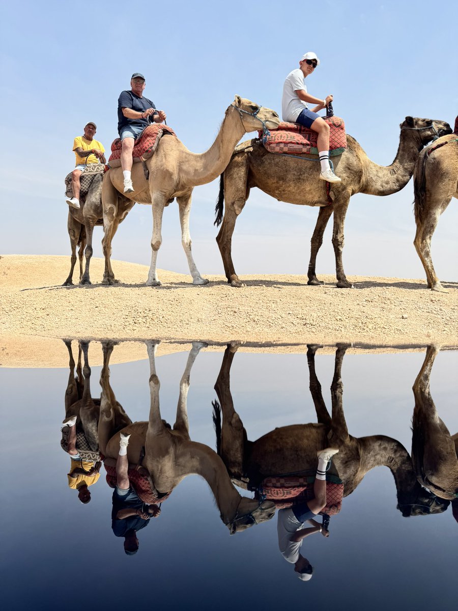 brad_pearce's tweet image. Camels and Quad Biking in the #AgafayDesert #Morocco #2025