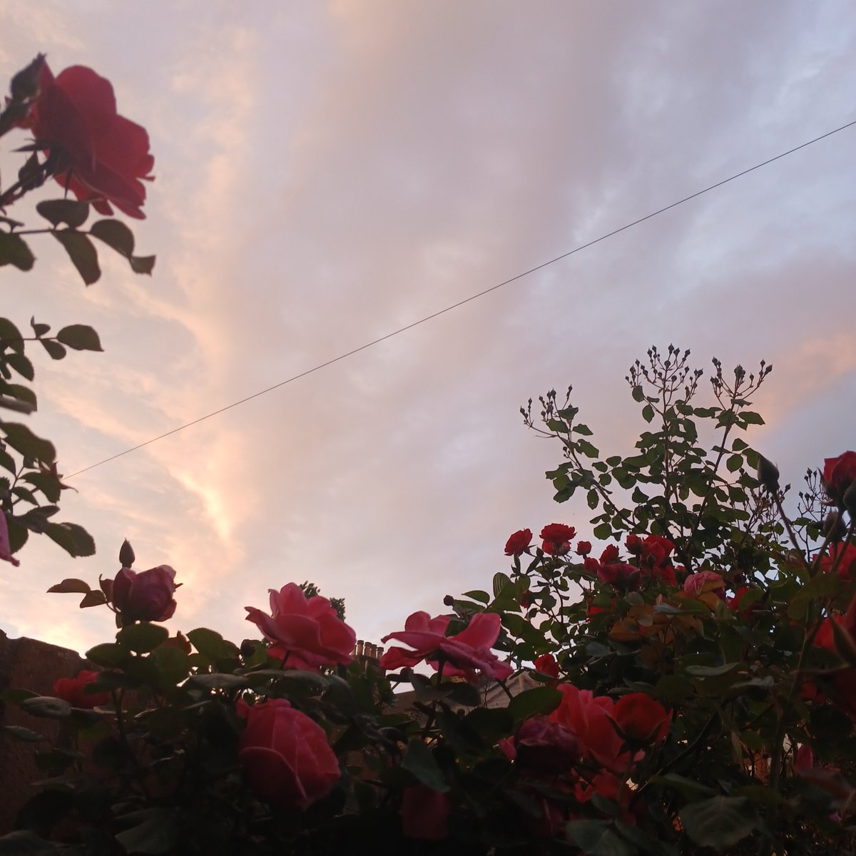 616IMPULSE's tweet image. Hi I'm trying to gather funds, move out, and leave an unsafe situation that is crushing me.

I currently have no income. This fundraiser is to cover my food, bills, and transport while I search for a job after my surgery and try to gain a sense of safety.

gofund.me/1e382b85